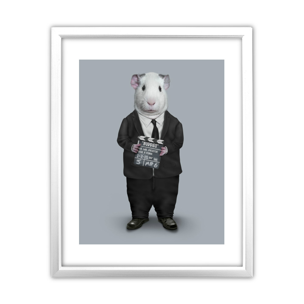 Director Pets Rock 11 Director Pets Rock 11