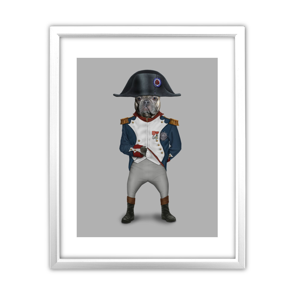 Napoleon Pets Rock 11 Napoleon Pets Rock 11