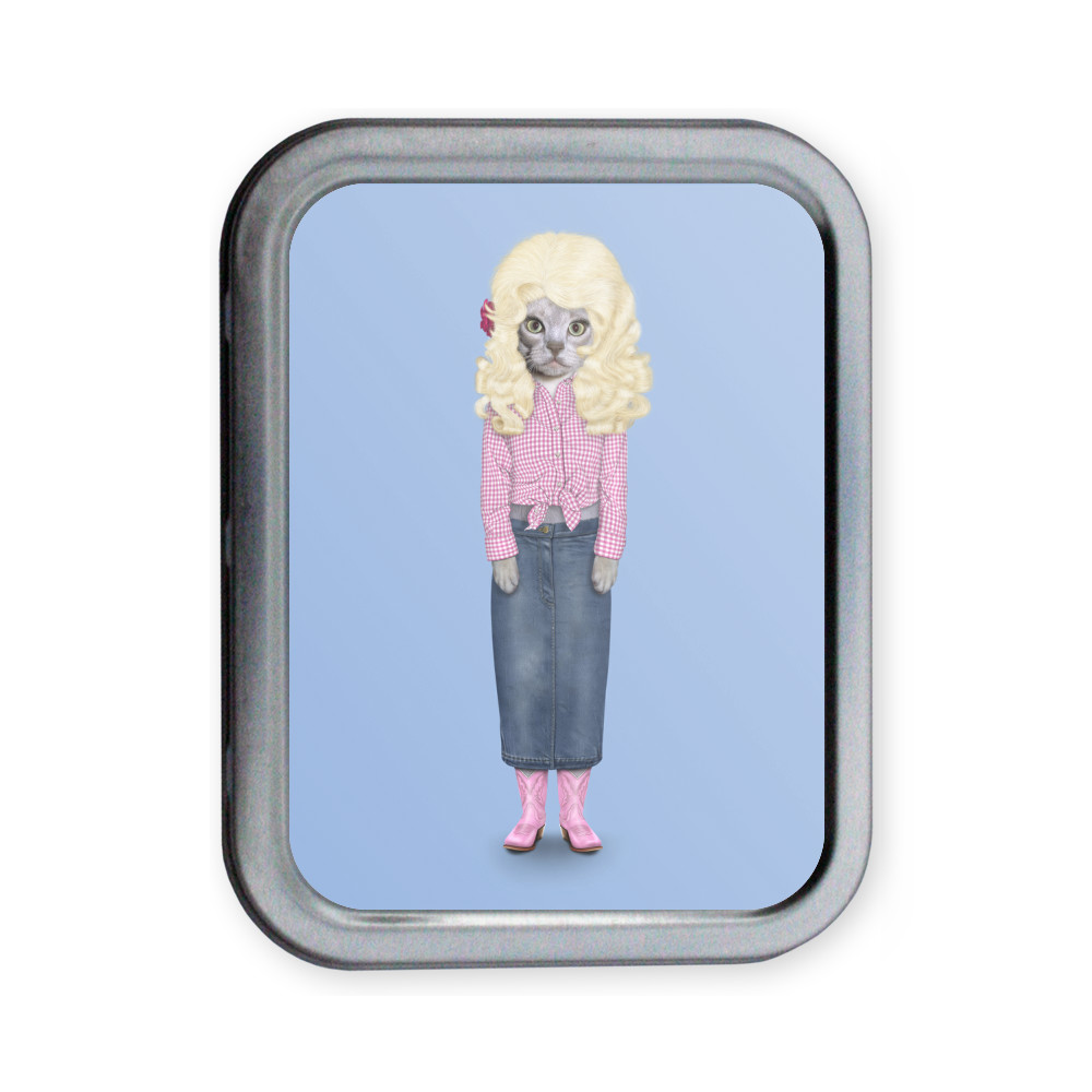Country Pets Rock Collectors Tin Country Pets Rock Collectors Tin