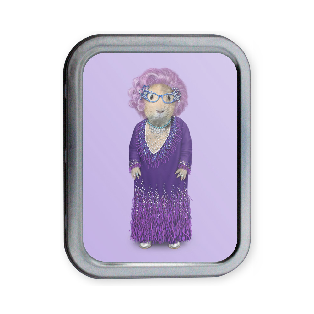 Possum Pets Rock Collectors Tin Possum Pets Rock Collectors Tin