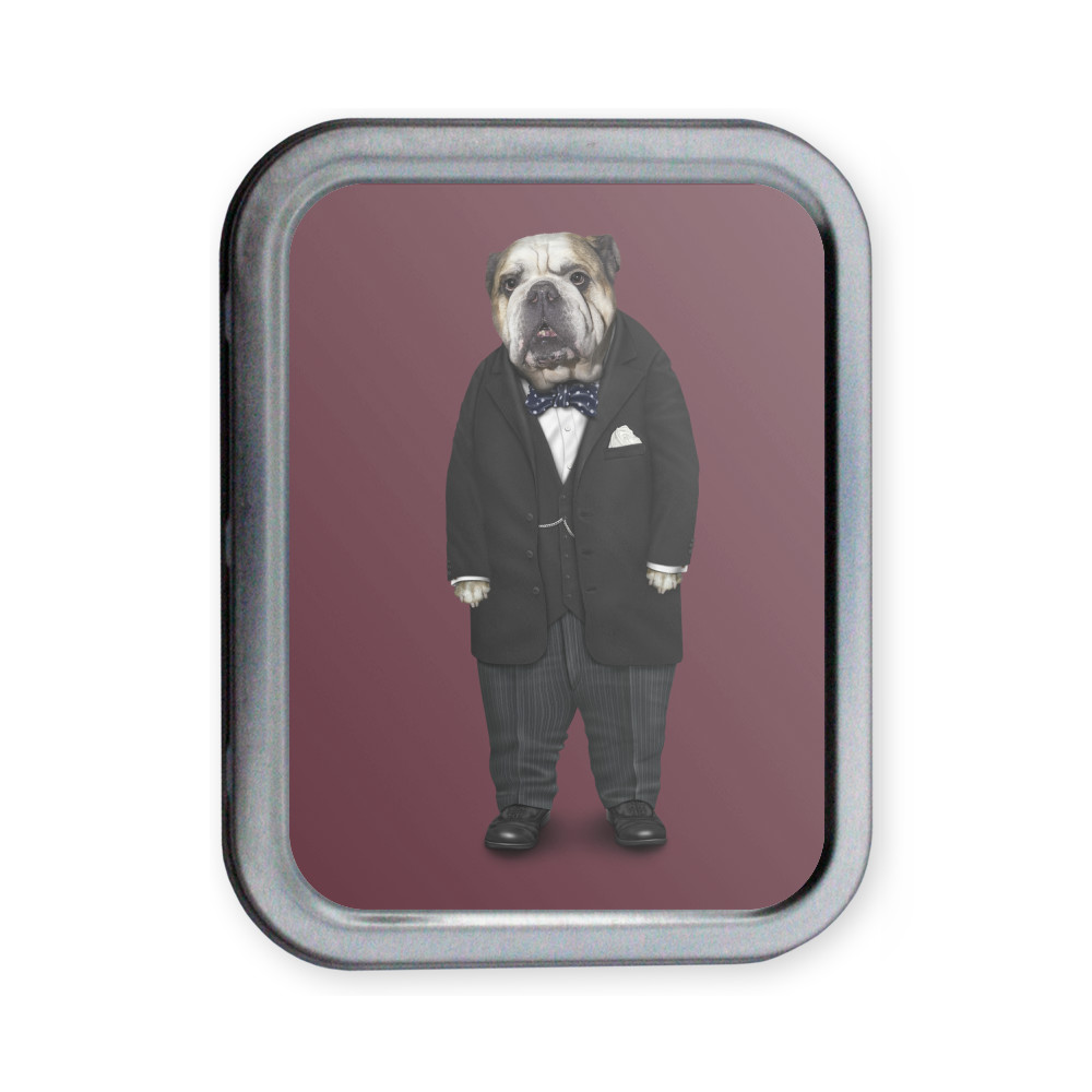 Leader Pets Rock Collectors Tin Leader Pets Rock Collectors Tin
