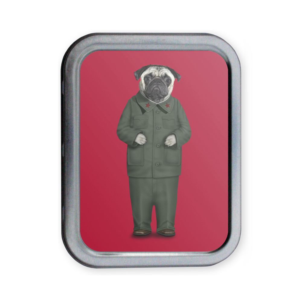 China Pets Rock Collectors Tin China Pets Rock Collectors Tin