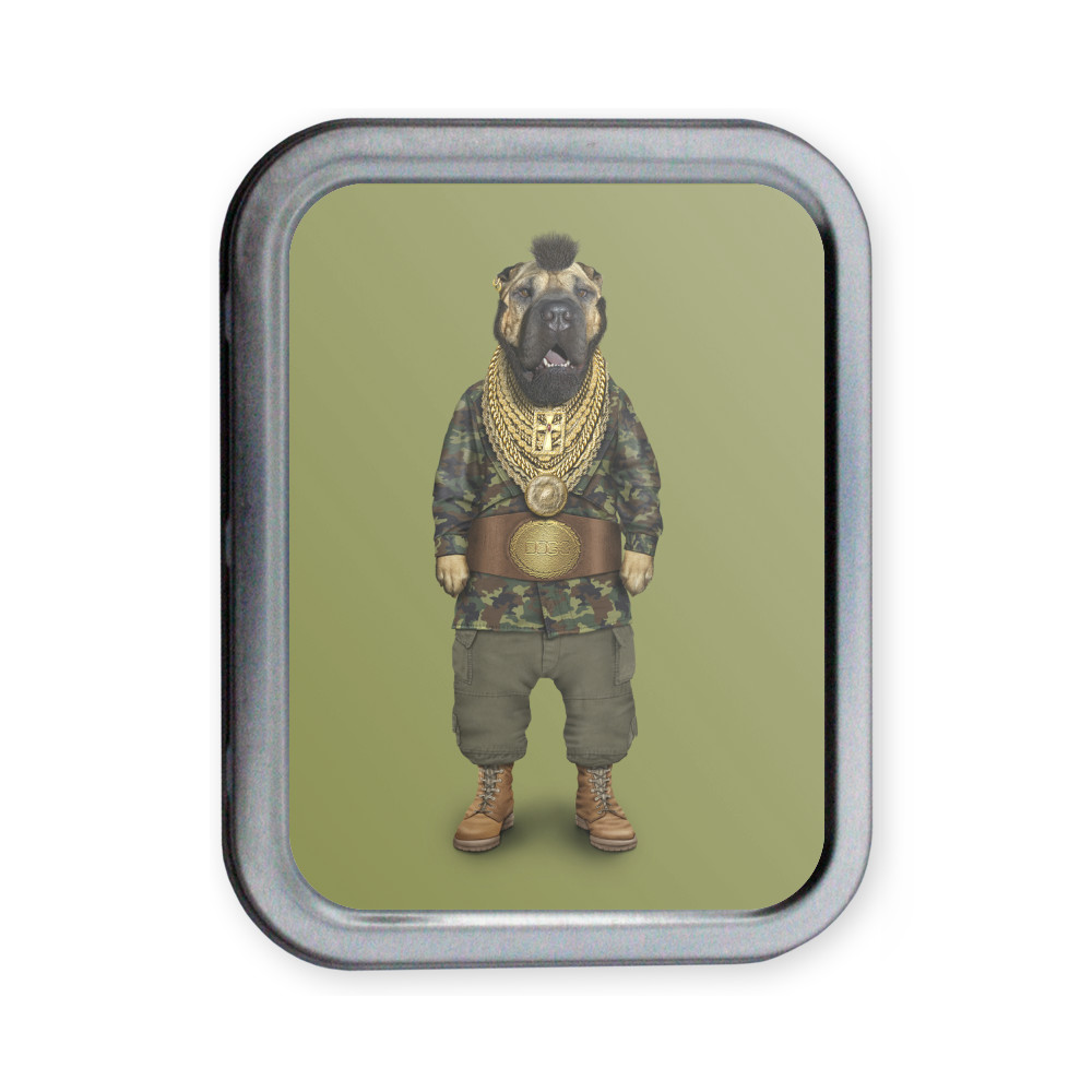 Fool Pets Rock Collectors Tin Fool Pets Rock Collectors Tin