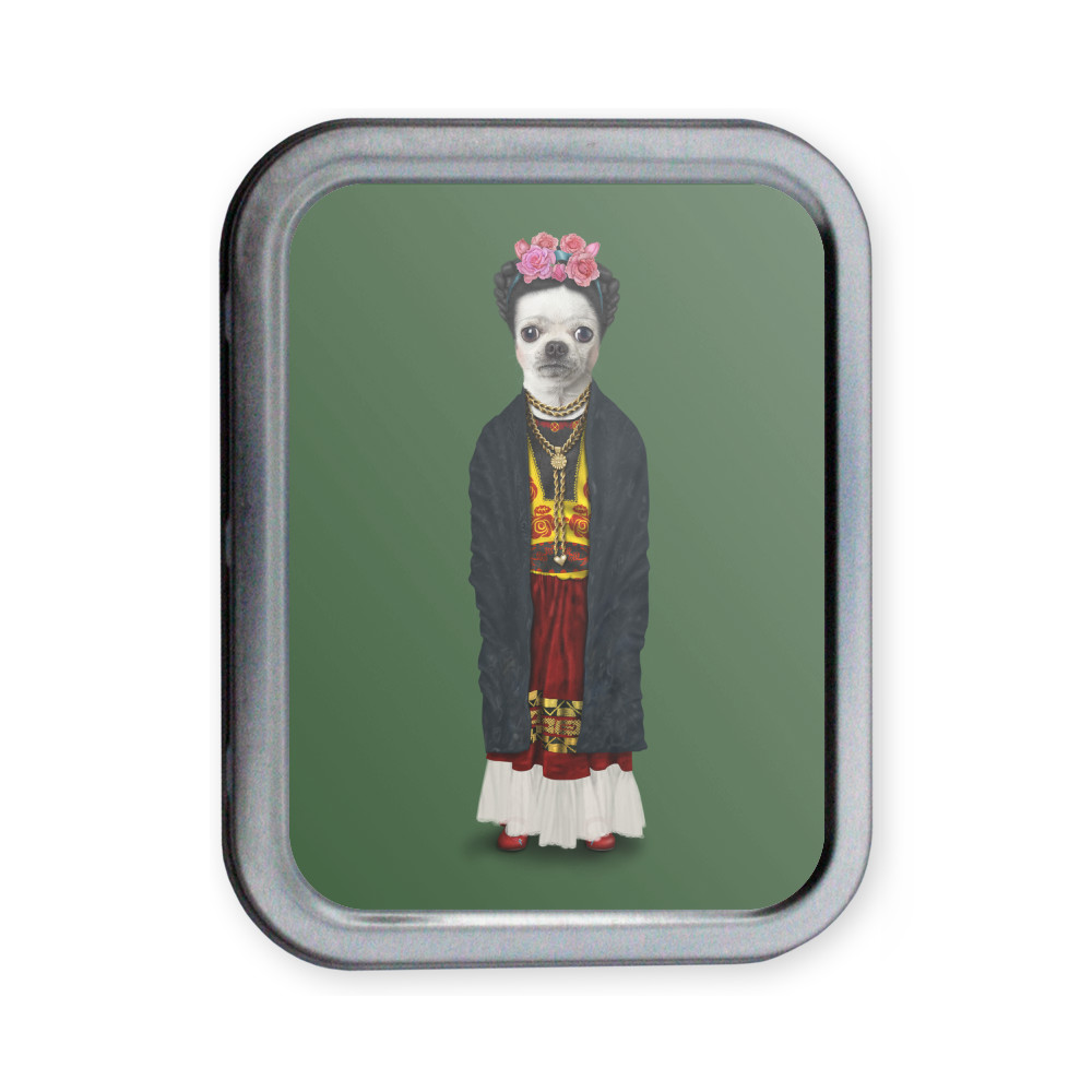 Mexico Pets Rock Collectors Tin Mexico Pets Rock Collectors Tin