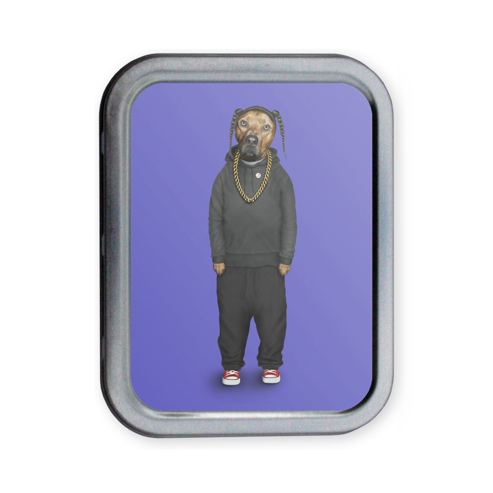 Rap Pets Rock Collectors Tin Rap Pets Rock Collectors Tin