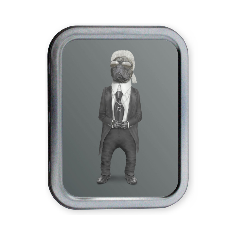 Fashion Pets Rock Collectors Tin Fashion Pets Rock Collectors Tin