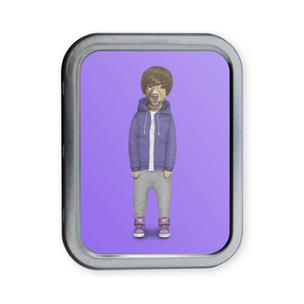 Teen Pets Rock Collectors Tin Teen Pets Rock Collectors Tin