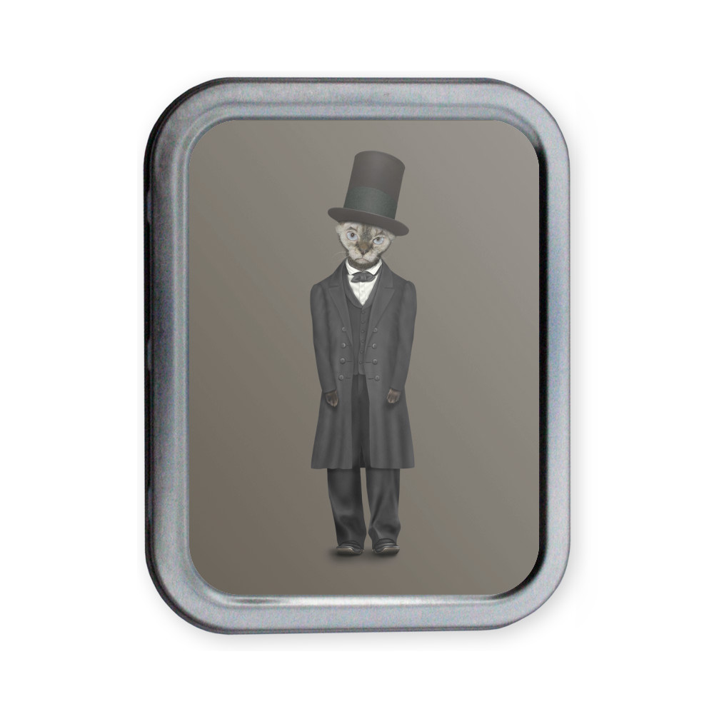 Lincoln Pets Rock Collectors Tin Lincoln Pets Rock Collectors Tin
