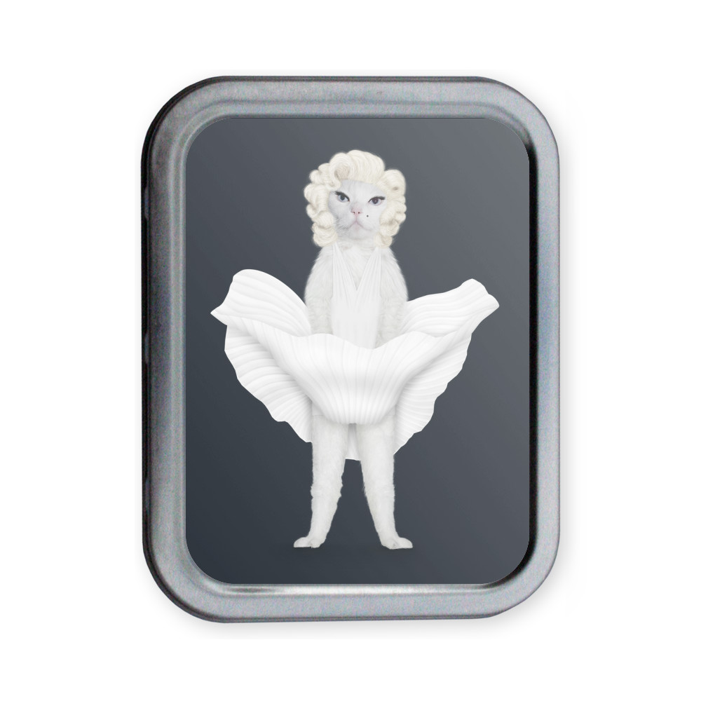 Diamonds Pets Rock Collectors Tin Diamonds Pets Rock Collectors Tin