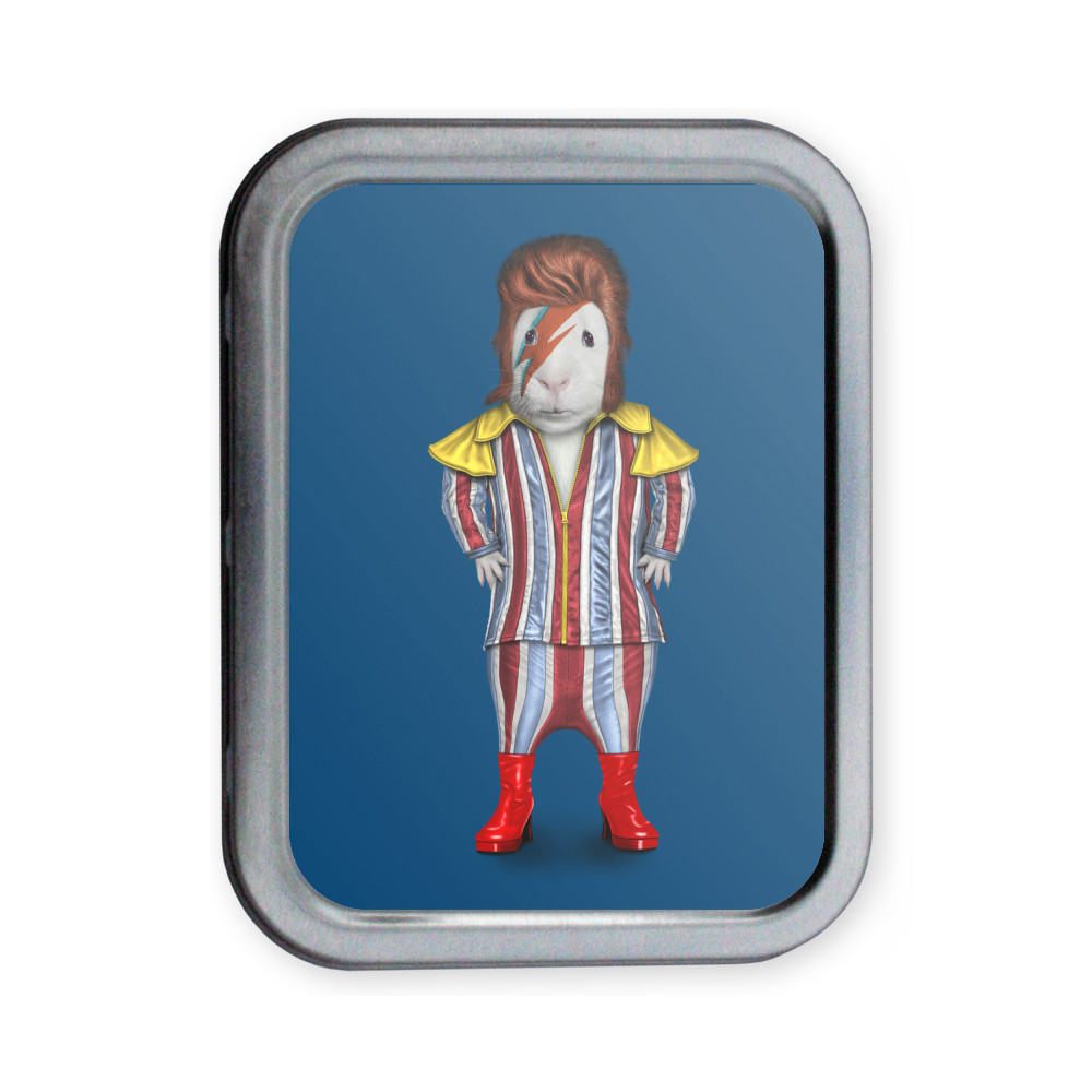 Glam Rock Pets Rock Collectors Tin Glam Rock Pets Rock Collectors Tin