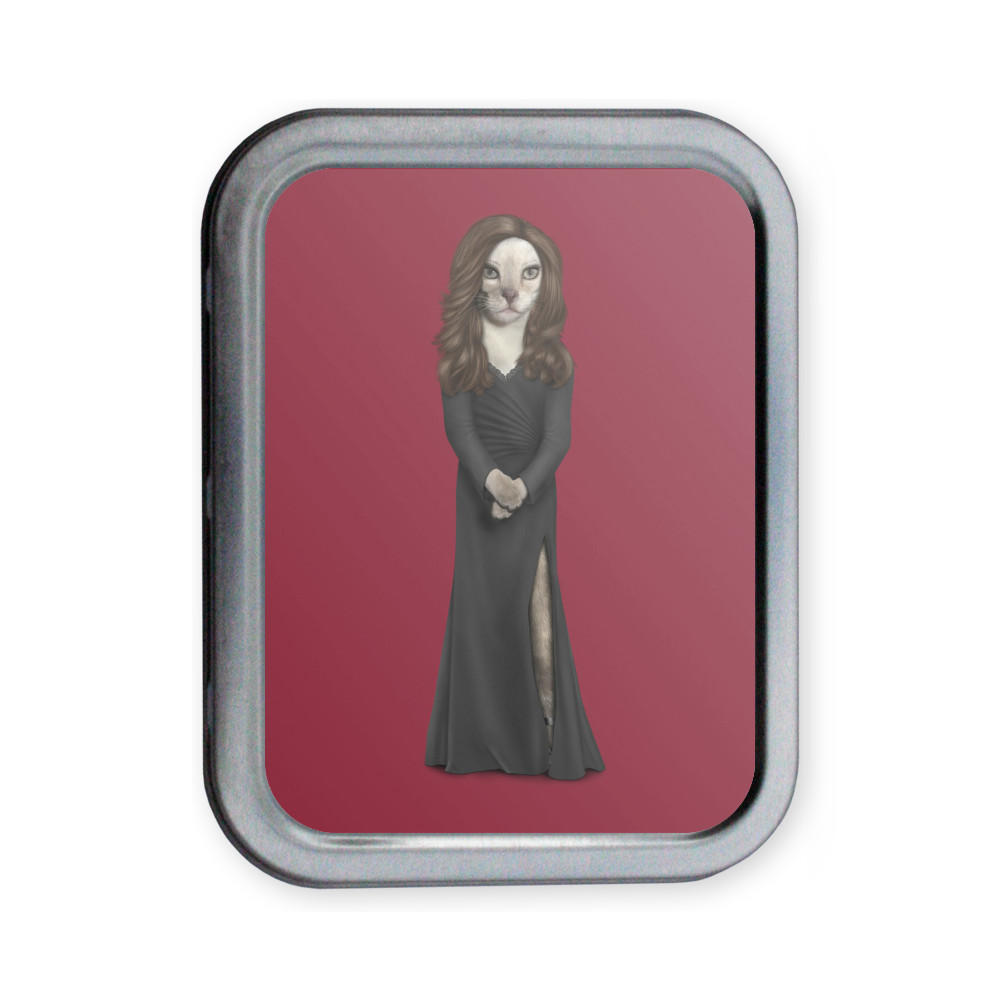 Hollywood Lady Pets Rock Collectors Tin Hollywood Lady Pets Rock Collectors Tin
