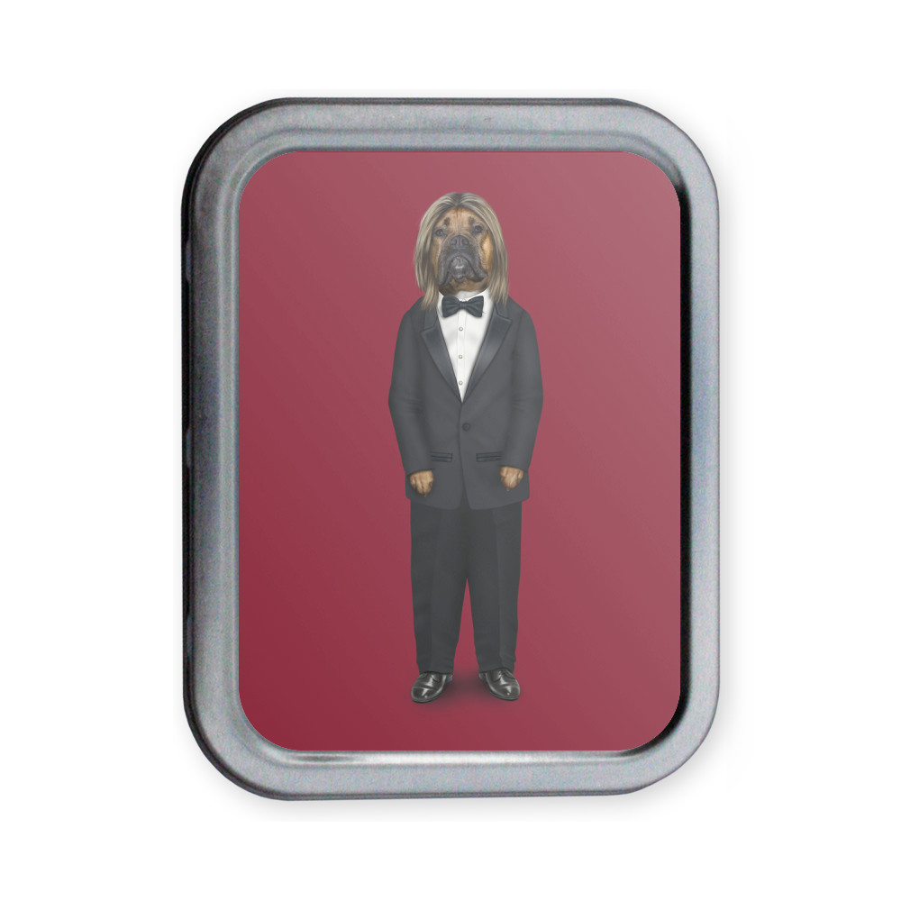 Hollywood Man Pets Rock Collectors Tin Hollywood Man Pets Rock Collectors Tin