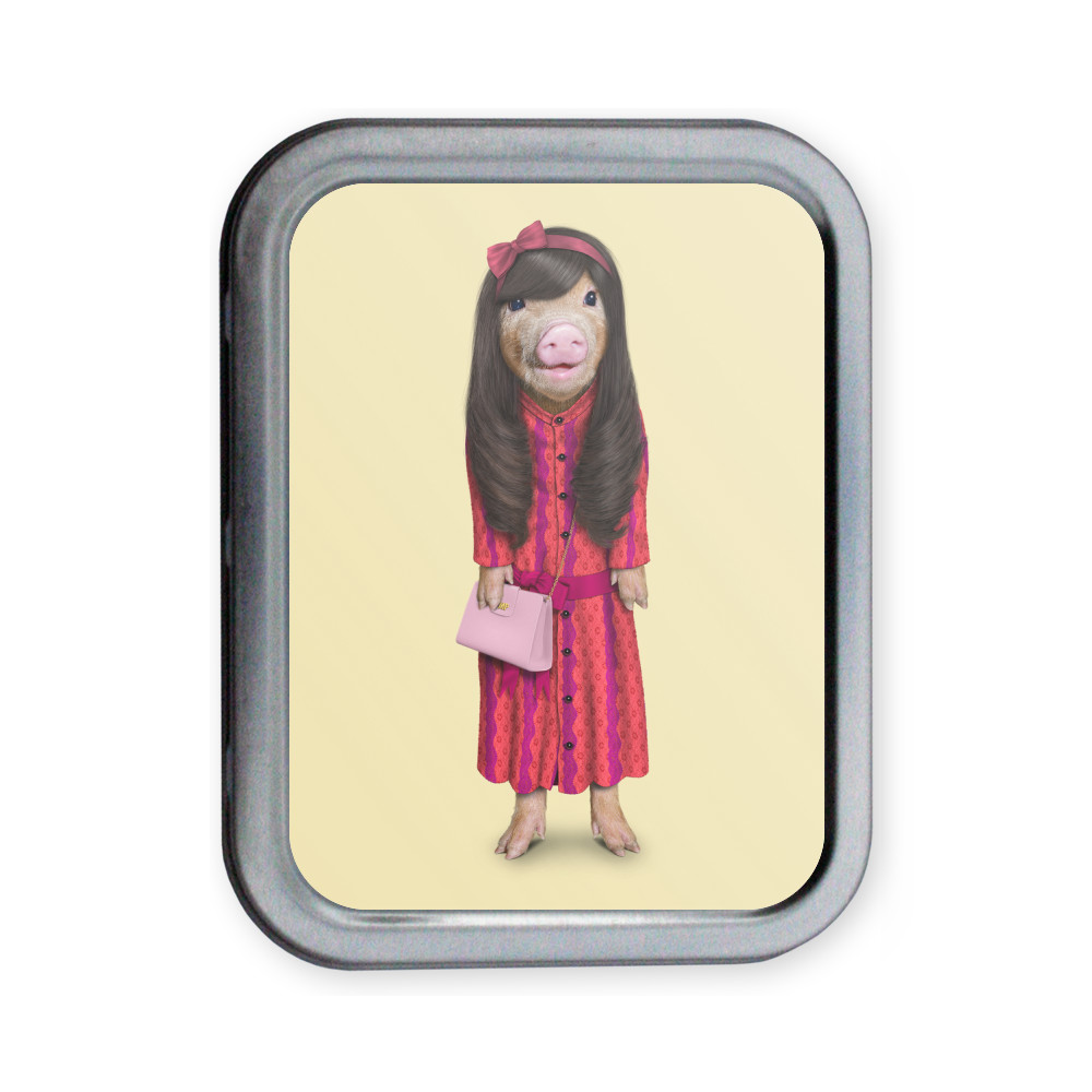 Patsy Pets Rock Collectors Tin Patsy Pets Rock Collectors Tin